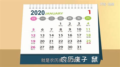 4元素 明年是什麼年2024